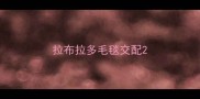 拉布拉多毛毯交配