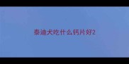 泰迪犬吃什么钙片好