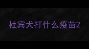 杜宾犬打什么疫苗