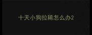 十天小狗拉稀怎么办