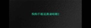 狗狗干呕流鼻涕咳嗽