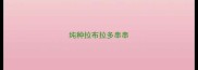 纯种拉布拉多串串