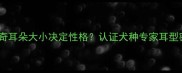 哈士奇耳朵大小决定性格认证犬种专家耳型密码