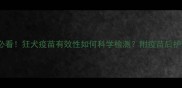 宠物主人必看狂犬疫苗有效性如何科学检测附疫苗后护理全攻略