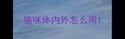 猫咪体内外怎么用