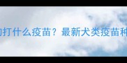 宠物医院给狗狗打什么疫苗最新犬类疫苗种类及接种指南