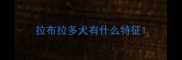 拉布拉多犬有什么特征