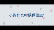 小狗什么时候做驱虫