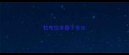 拉布拉多鼻子多长