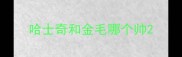 哈士奇和金毛哪个帅