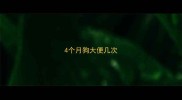 4个月狗大便几次