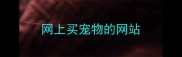 网上买宠物的网站