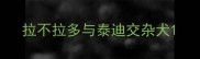 拉不拉多与泰迪交杂犬