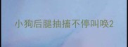小狗后腿抽搐不停叫唤