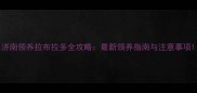 济南领养拉布拉多全攻略最新领养指南与注意事项