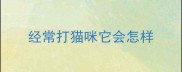 经常打猫咪它会怎样