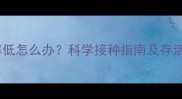 狗狗疫苗存活率低怎么办科学接种指南及存活率影响因素全