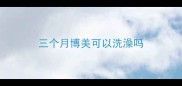 三个月博美可以洗澡吗