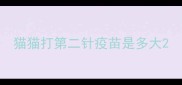 猫猫打第二针疫苗是多大