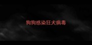 狗狗感染狂犬病毒