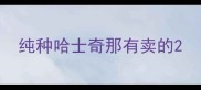 纯种哈士奇那有卖的
