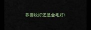 养德牧好还是金毛好