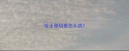 哈士奇幼崽怎么挑