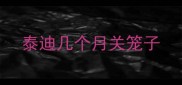 泰迪几个月关笼子