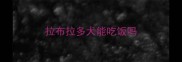 拉布拉多犬能吃饭吗