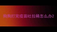 狗狗打完疫苗吐拉稀怎么办