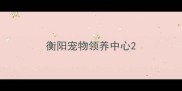 衡阳宠物领养中心