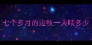 七个多月的边牧一天喂多少