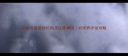边牧出售最佳时间及注意事项幼犬养护全攻略