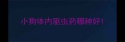 小狗体内驱虫药哪种好