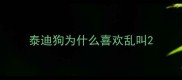 泰迪狗为什么喜欢乱叫