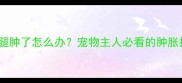 狂犬疫苗后腿肿了怎么办宠物主人必看的肿胀护理指南