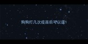 狗狗打几次疫苗后可以遛
