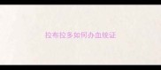 拉布拉多如何办血统证