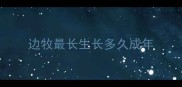 边牧最长生长多久成年