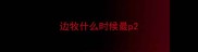 边牧什么时候最p