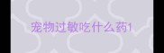 宠物过敏吃什么药