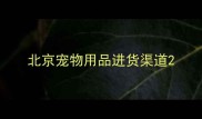 北京宠物用品进货渠道