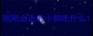 刚刚会走的小狗吃什么