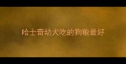 哈士奇幼犬吃的狗粮最好