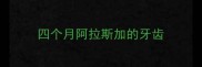 四个月阿拉斯加的牙齿