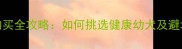 金毛犬购买全攻略如何挑选健康幼犬及避坑指南