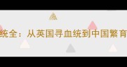 拉布拉多犬纯种血统全从英国寻血统到中国繁育标准养狗必看