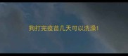 狗打完疫苗几天可以洗澡