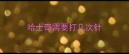 哈士奇需要打几次针