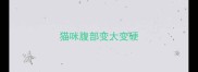 猫咪腹部变大变硬